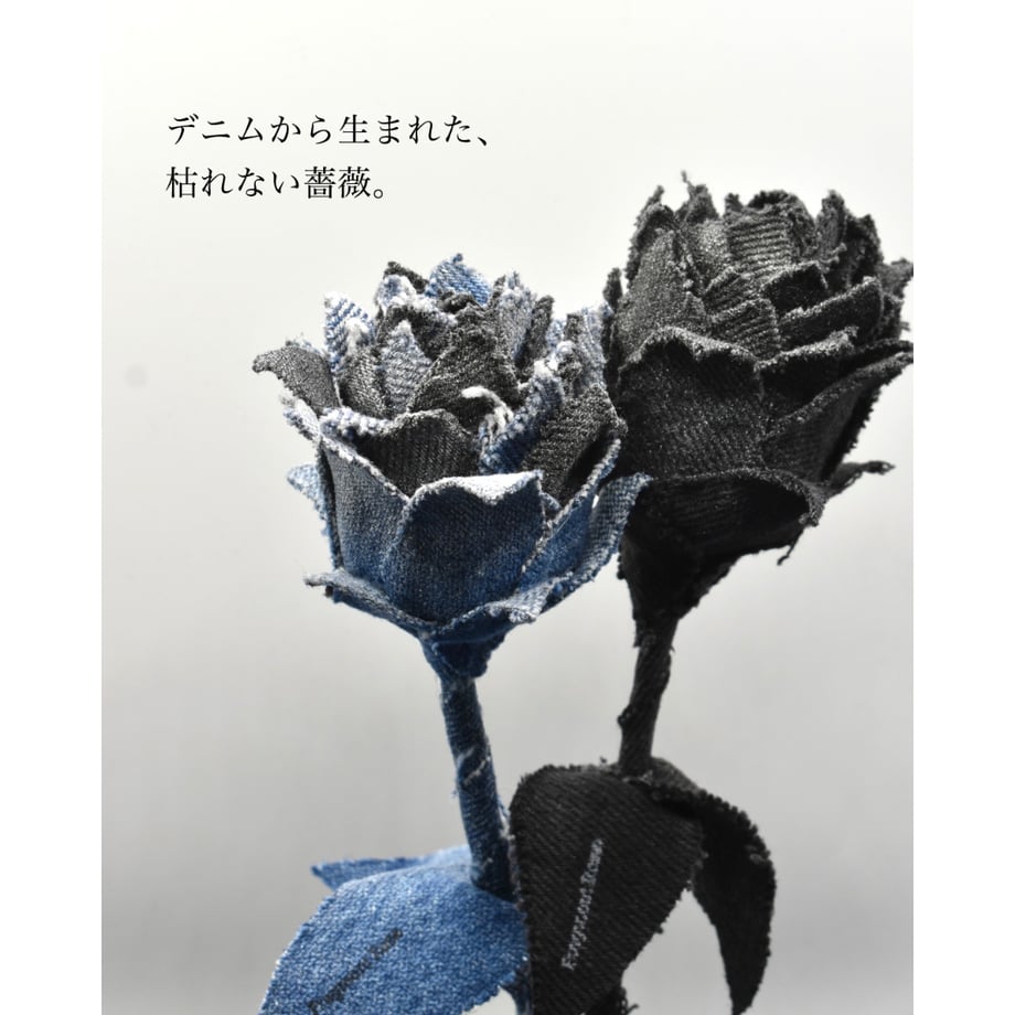 69bf701cff407e3fddb1b582