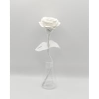 Fragment Rose - Pure White -｜ Remake by VERS