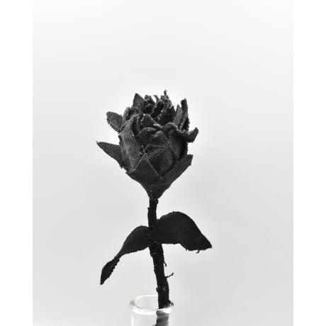 Fragment Rose - Black -｜ Remake by VERS