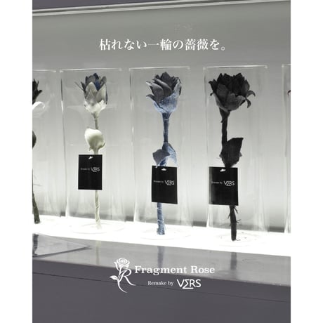 Fragment Rose - Deep Indigo  -｜ Remake by VERS