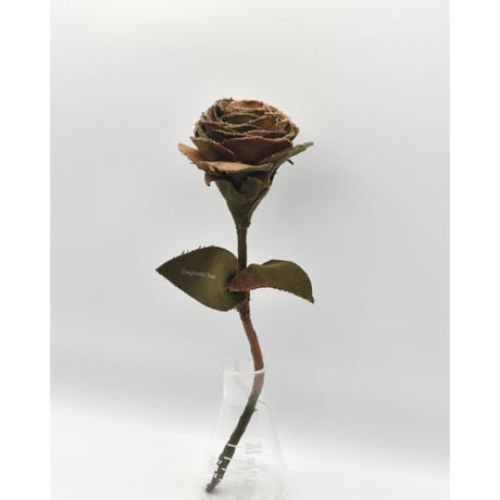 Fragment Rose - Hungarian Hurricane Camo -｜ Remake by VERS
