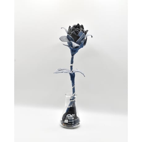 Fragment Rose – Dark Blue × Black – ｜ Remake by VERS