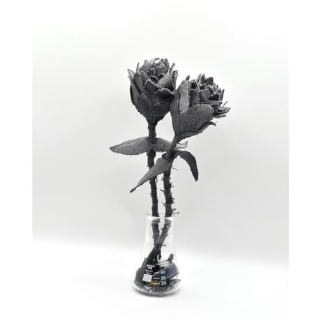 Fragment Rose - Faded Black -｜ Remake by VERS