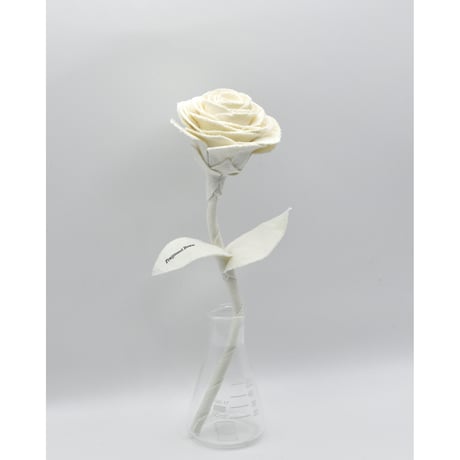 Fragment Rose - Ecru Blanc -｜ Remake by VERS