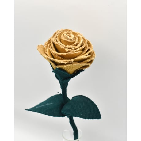 Fragment Rose - Amber Garden -｜ Remake by VERS