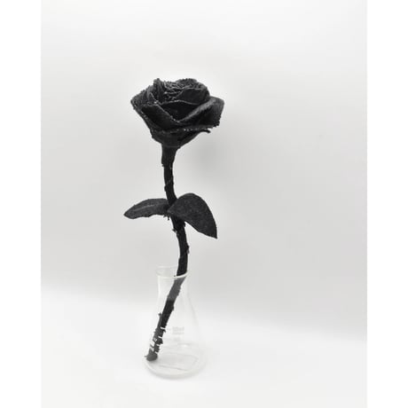 Fragment Rose - Black -｜ Remake by VERS