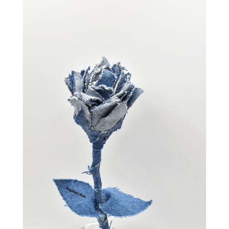 Fragment Rose - Deep Blue × Light Blue -｜ Remake by VERS