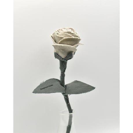 Fragment Rose - Ash Ivory - ｜ Remake by VERS