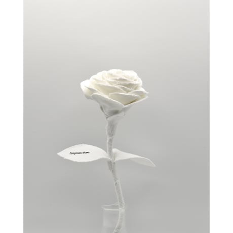 Fragment Rose - White - ｜ Remake by VERS