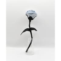 Fragment Rose - Frost Garden - ｜ Remake by VERS