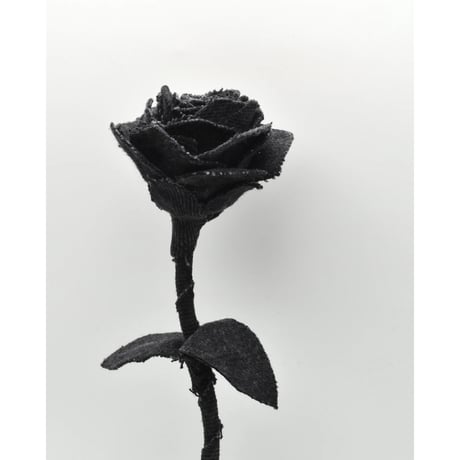 Fragment Rose - Black -｜ Remake by VERS