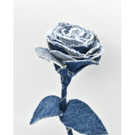 Fragment Rose - Deep Indigo Contrast - ｜ Remake by VERS