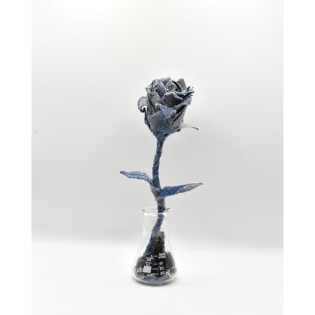 Fragment Rose - Indigo Contrast - ｜ Remake by VERS