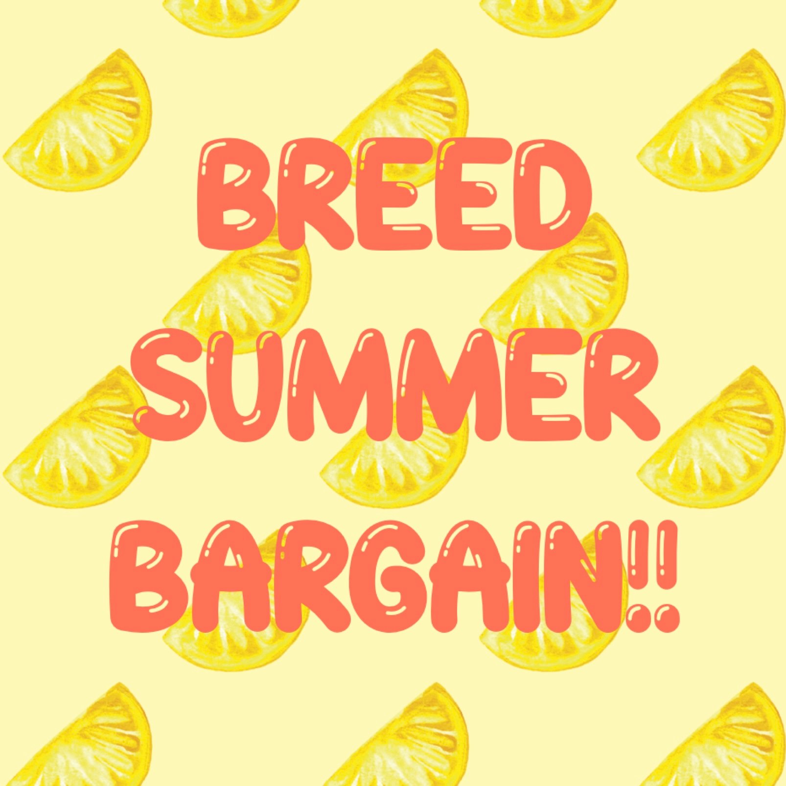 SUMMER BARGAIN!
