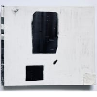 森川健人『MOSQUITO PAPER』Limited edition  of 10(Story of Mosquito)1/10