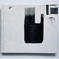 森川健人『MOSQUITO PAPER』Limited edition of 10(Story of Mosquito)10/10