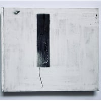 森川健人『MOSQUITO PAPER』Limited edition of 10(Story of Mosquito)2/10