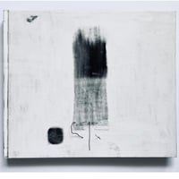 森川健人『MOSQUITO PAPER』Limited edition of 10(Story of Mosquito)6/10