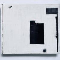 森川健人『MOSQUITO PAPER』Limited edition of 10(Story of Mosquito)9/10