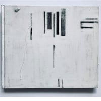 森川健人『MOSQUITO PAPER』Limited edition of 10(Story of Mosquito)4/10