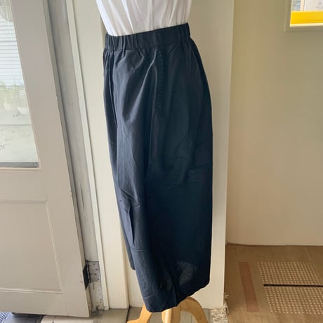ANTOTE / ARANZU PIB PPT GAUCHO