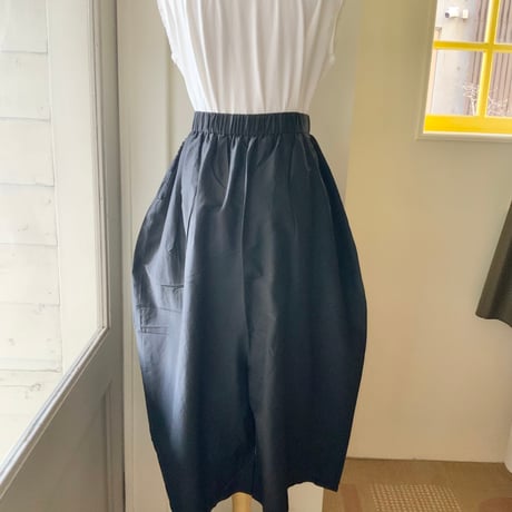 ANTOTE / ARANZU PIB PPT GAUCHO