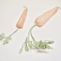 momoca / にんじん（M）