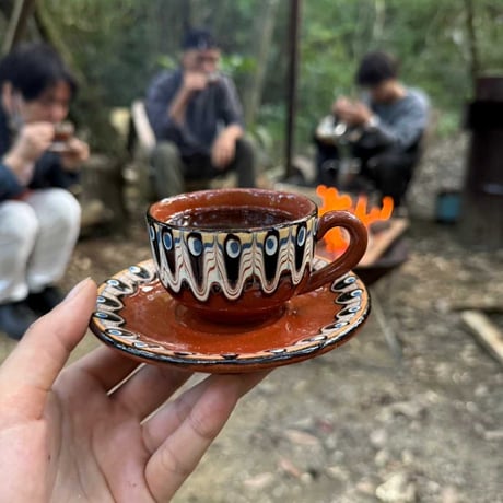 森と共に育むコーヒー農園・循環型農業（アグロフォレストリー）1泊体験