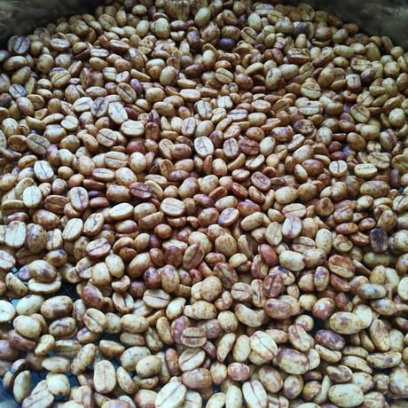 2020年度・徳之島産発酵コーヒー豆（50g）