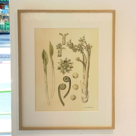 河井いづみ「春」  izumi kawai  原画