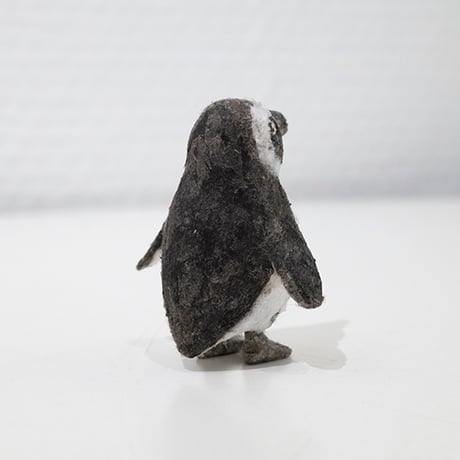 金沢和寛「マゼランペンギン」kanazawa kazuhiro