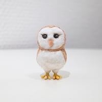 金沢和寛「メンフクロウ」kanazawa kazuhiro
