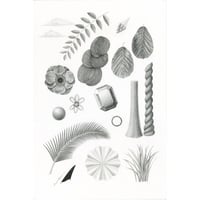 河井いづみ「森で遊ぶ」  izumi kawai  原画