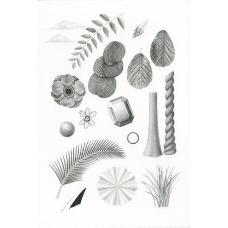 河井いづみ「森で遊ぶ」  izumi kawai  原画