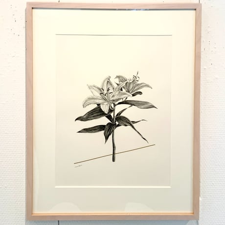 河井いづみ「ひたむきな美」  izumi kawai  原画