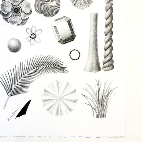 河井いづみ「森で遊ぶ」  izumi kawai  原画