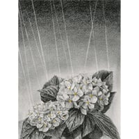 河井いづみ「金の雨粒」  izumi kawai  原画