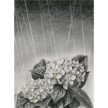 河井いづみ「金の雨粒」  izumi kawai  原画