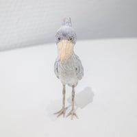 金沢和寛「ハシビロコウ」kanazawa kazuhiro