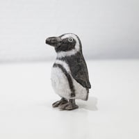 金沢和寛「マゼランペンギン」kanazawa kazuhiro