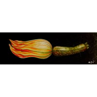 星野哲朗「花ズッキーニ」原画作品