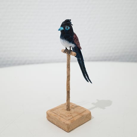 金沢和寛「サンコウチョウ」kanazawa kazuhiro
