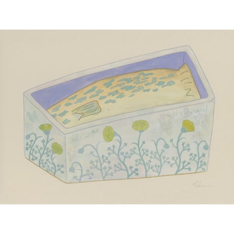 藤本巧「魚の眠る箱」fujimoto takumi 原画