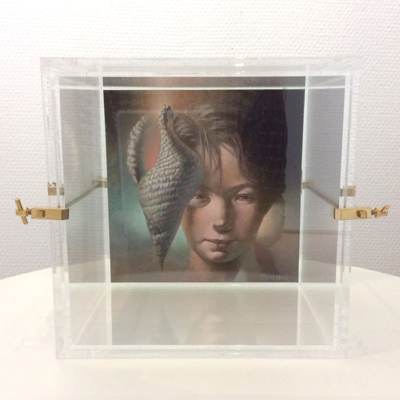 建石修志「夏の匣の少年」tateishi syuji | SPACE YUI online shop