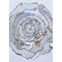 長谷川洋子「白薔薇 ― 光の記憶」yoko hasegawa