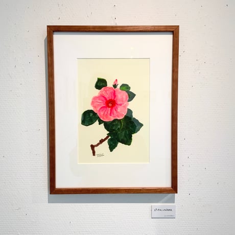 保科 彩「ピンクのハイビスカス」aya hoshina 版画