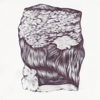 中村幸子「花と水」  原画