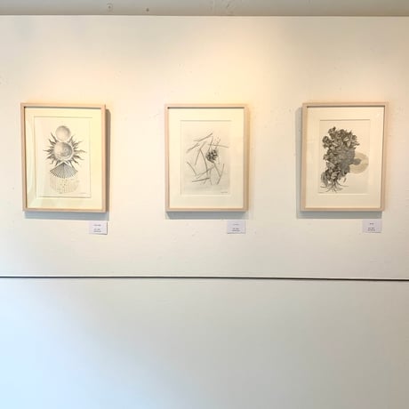 河井いづみ「小さな声」  izumi kawai  原画