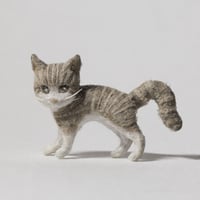 金沢和寛「猫 灰茶トラ・威嚇」kanazawa kazuhiro