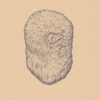 中村幸子「花のいのち」原画